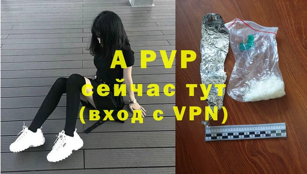 ГАЛЛЮЦИНОГЕННЫЕ ГРИБЫ Заволжье