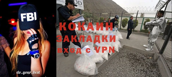 ГАЛЛЮЦИНОГЕННЫЕ ГРИБЫ Заволжье