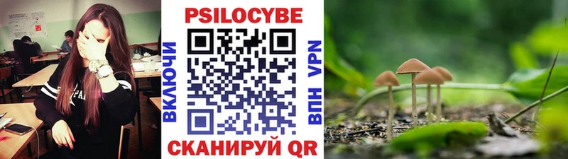 Псилоцибиновые грибы Magic Shrooms  Тогучин 