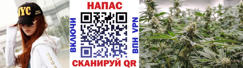 MEGA зеркало  это какой сайт  МАРИХУАНА SATIVA & INDICA  Тогучин 
